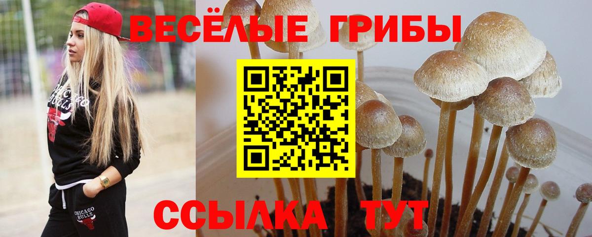 Иваново  Псилоцибиновые грибы MAGIC MUSHROOMS  Галлюциногенные грибы мицелий  магазин продажи наркотиков  Вход с VPN 